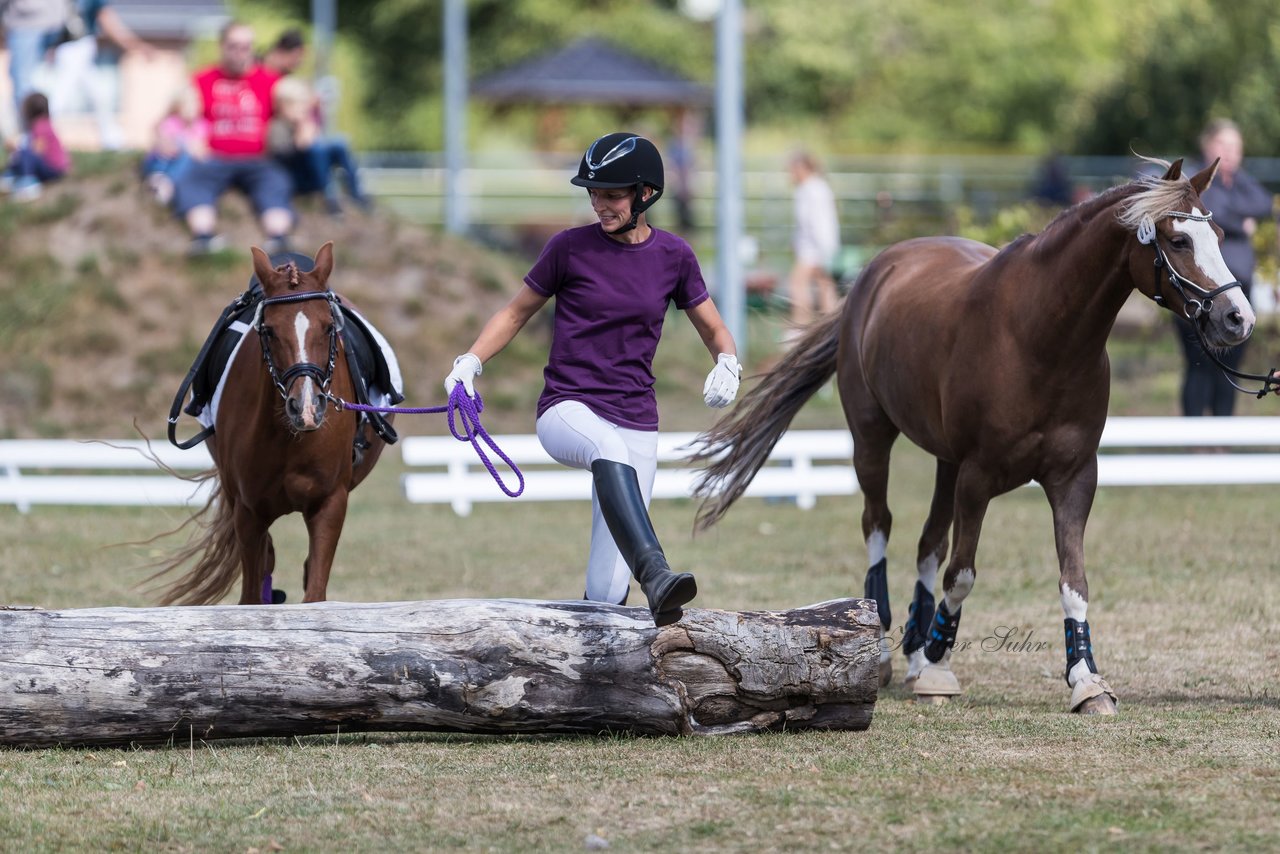 Bild 40 - Pony Akademie Turnier